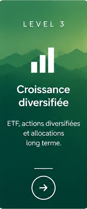 Level 3 - Croissance diversifiée